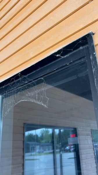 L'Ami Denis — avant : grande toile en haut d'une vitrine